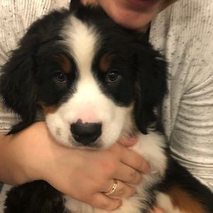 Meet your Posher, Veronica